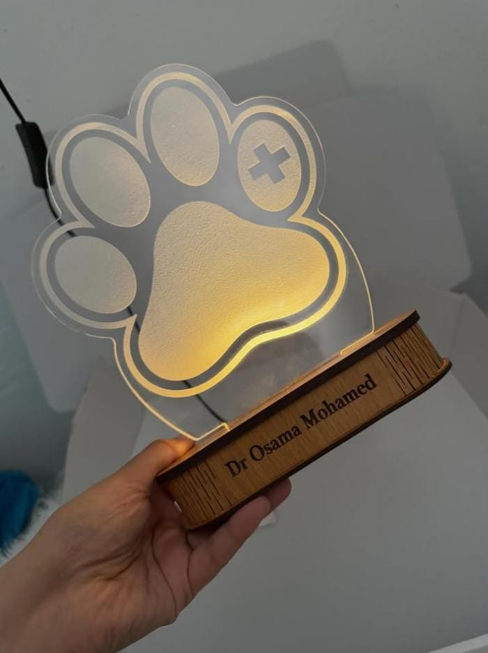 Illuminated veterinary paw plaque